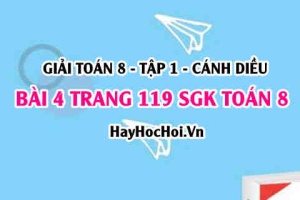 Giải bài 4 trang 119 Toán 8 Tập 1 SGK Cánh Diều